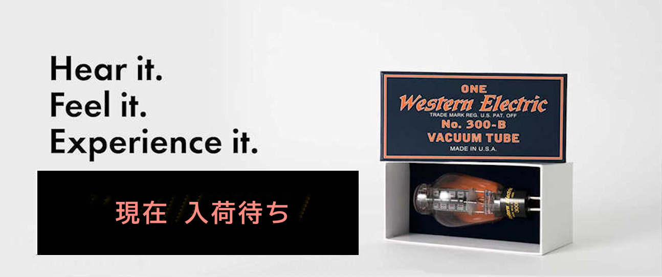 SUNVALLEY AUDIO(旧キット屋)[真空管アンプ,オーディオ,スピーカー販売]